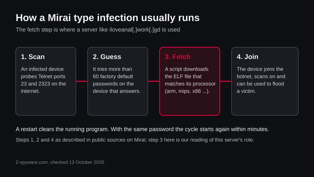 Infographic of the usual Mirai chain: scan for open Telnet, try default passwords, fetch the ELF file for the processor, join the botnet and scan on