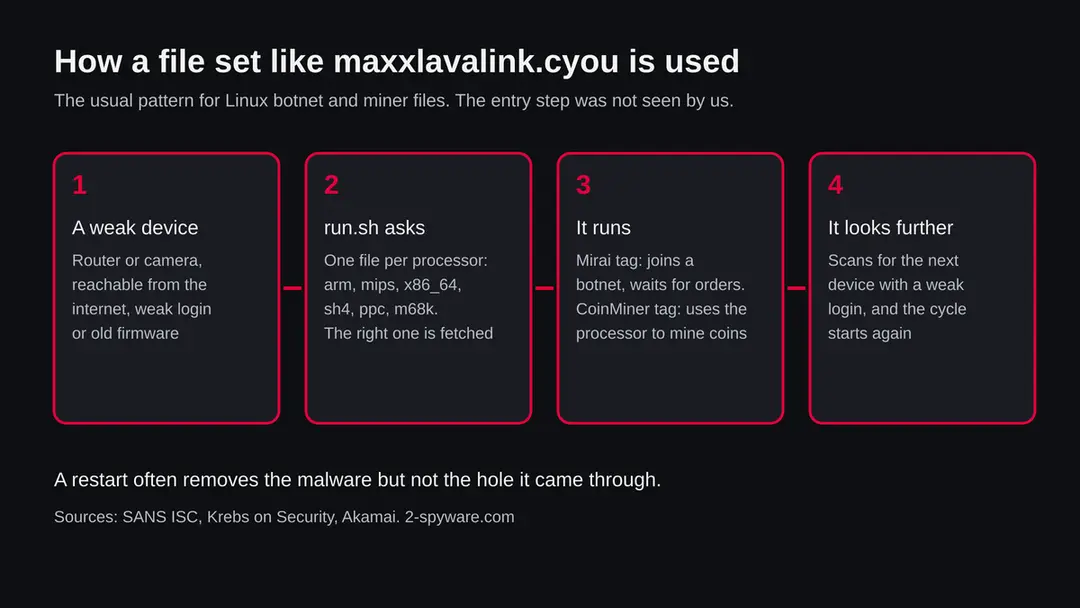 Four steps: a weak device is reached, the script run.sh asks the server for a file that fits its processor, the file runs and joins a botnet or mines coins, then it scans for the next device