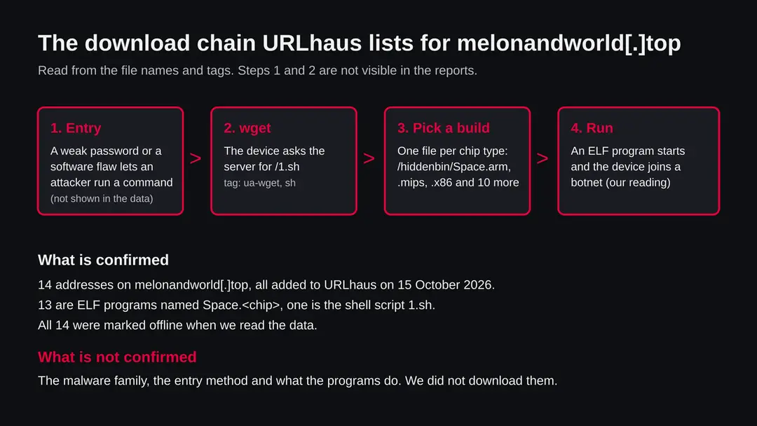Diagram of the four steps the URLhaus entries for melonandworld.top point to: entry, wget request for 1.sh, choice of a Space program for the chip type, and running the ELF file