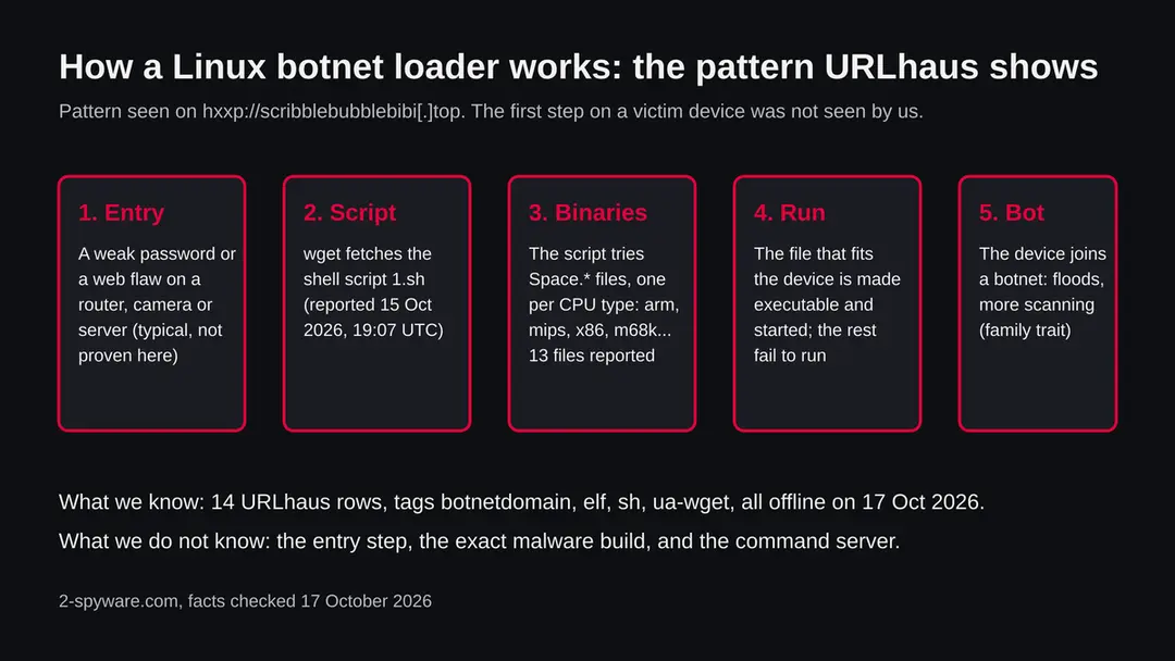 Five steps of a Linux botnet loader: entry through a weak password or web flaw, a shell script fetched with wget, programs for many processors, the matching file run, the device joins a botnet