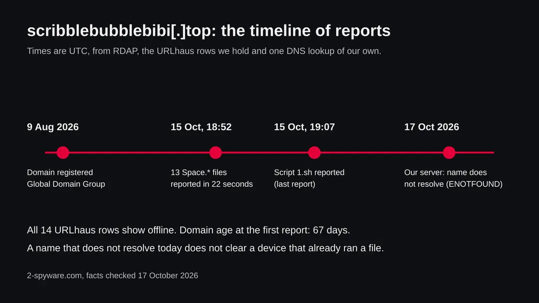 Timeline of scribblebubblebibi.top: domain registered 9 August 2026, 13 Space files reported on 15 October 2026 at 18:52 UTC, script 1.sh at 19:07 UTC, name not resolving on 17 October 2026