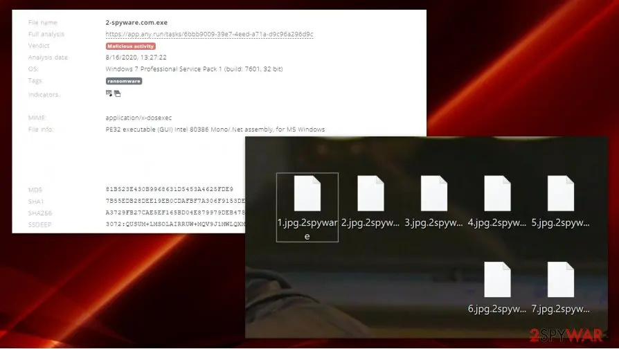 2spyware ransomware: executable file virus