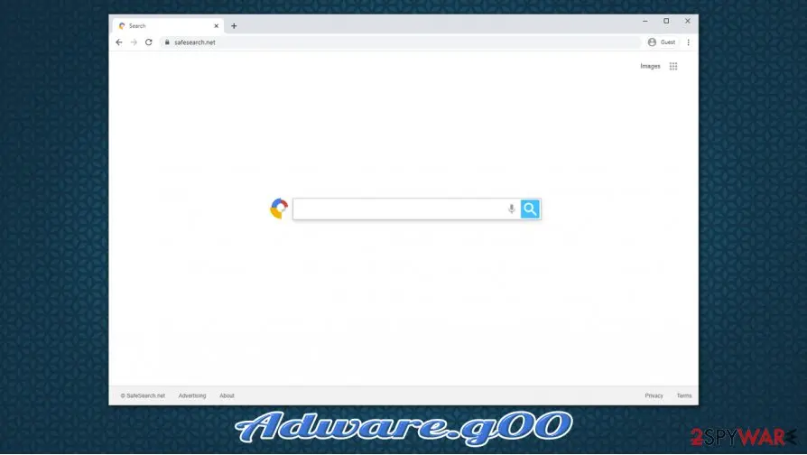 Adware.g00: adware g00 potentially unwanted program infection