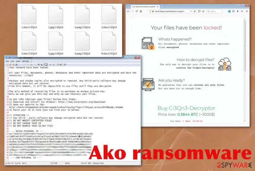 Screenshot of Ako ransomware: virus