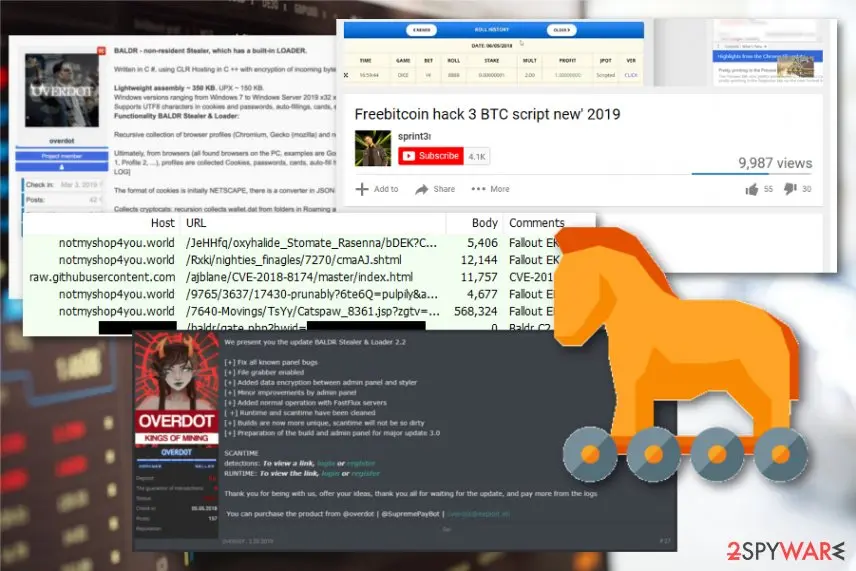 Screenshot of Baldr malware: trojan