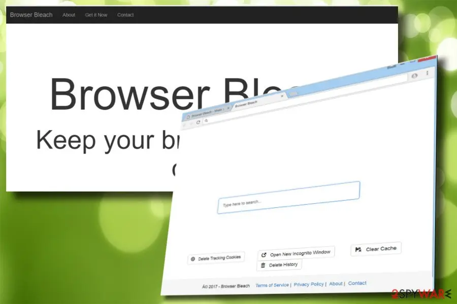 Screenshot of Browser Bleach: virus