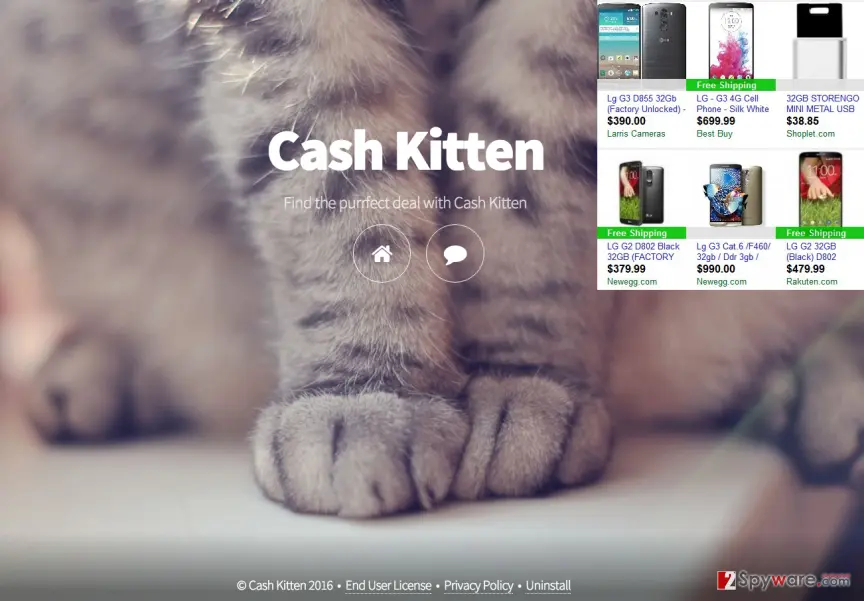 Cash Kitten ads: and the main page