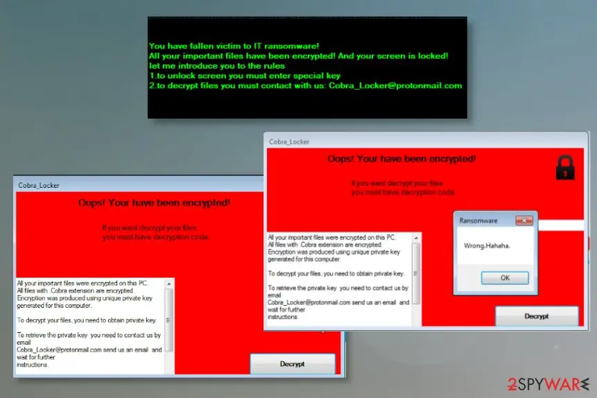 Screenshot of Cobra Locker: virus