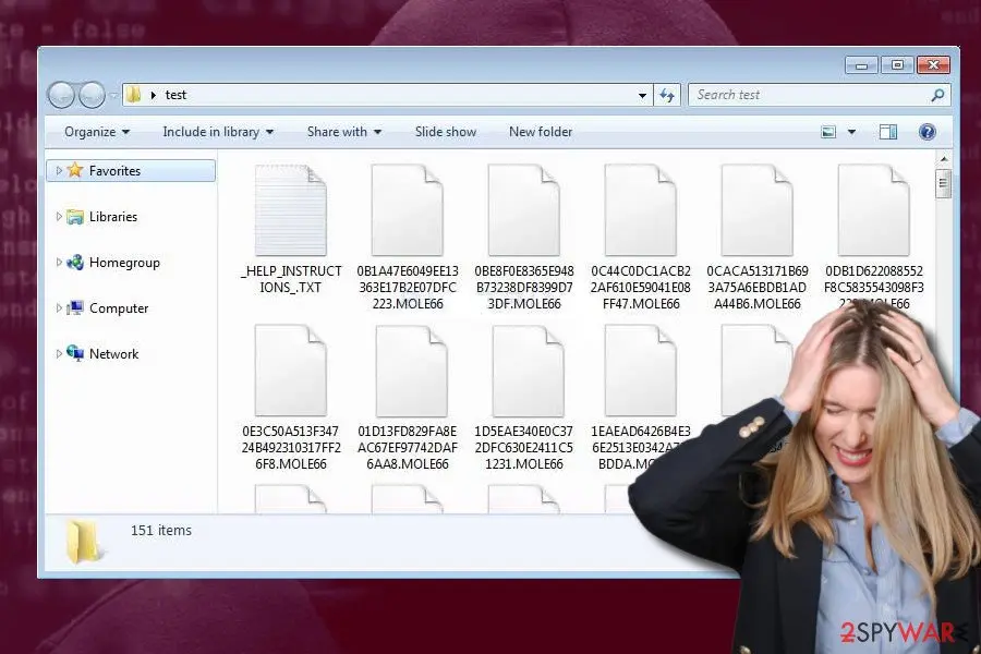 Screenshot of CryptoMix: mole66 variant