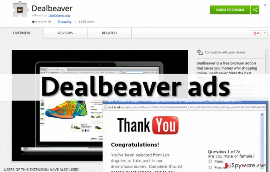 Dealbeaver ads: dealbeaver adware installation page