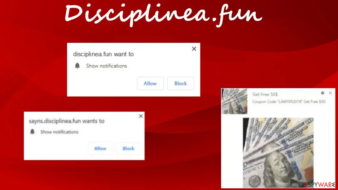 Disciplinea.fun: disciplinea fun ads