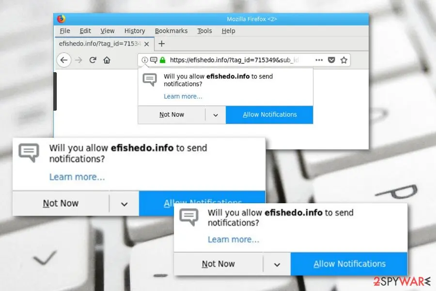 Efishedo.info: efishedo info adware