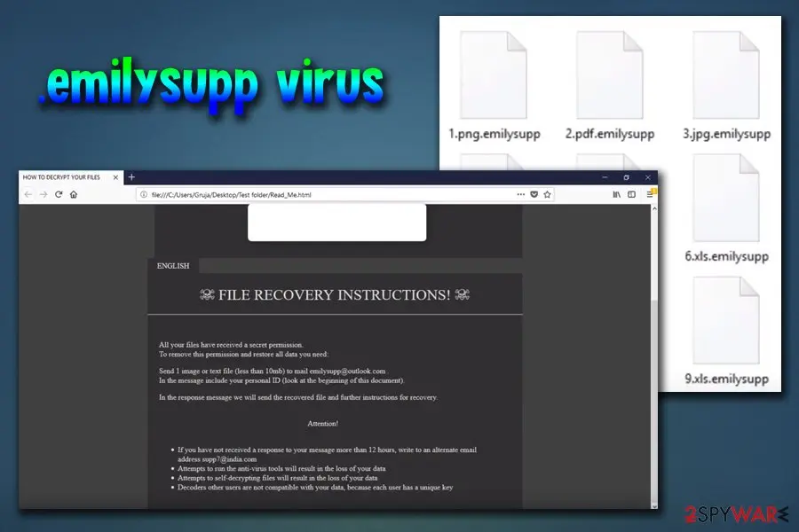 Globe Imposter ransomware virus: emilysupp variant globe imposter ransomware