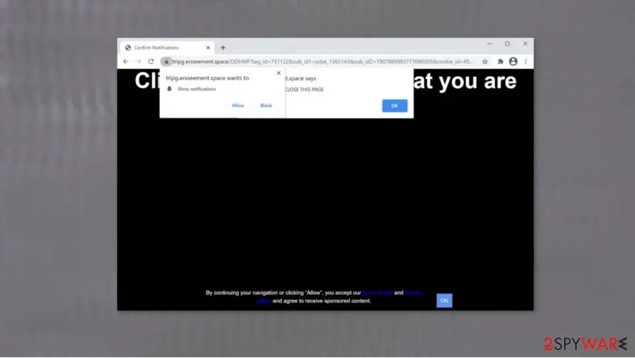 Ersseement.space pop-ups/ads: ersseement space adware