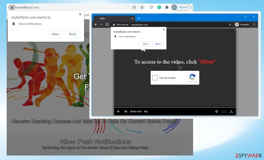 Screenshot of Erybelfaste.com: erybelfaste adware