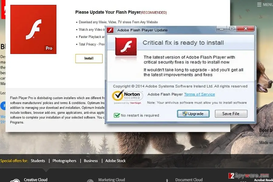 Update your Flash Player for Win 10" ads: fake adobe update