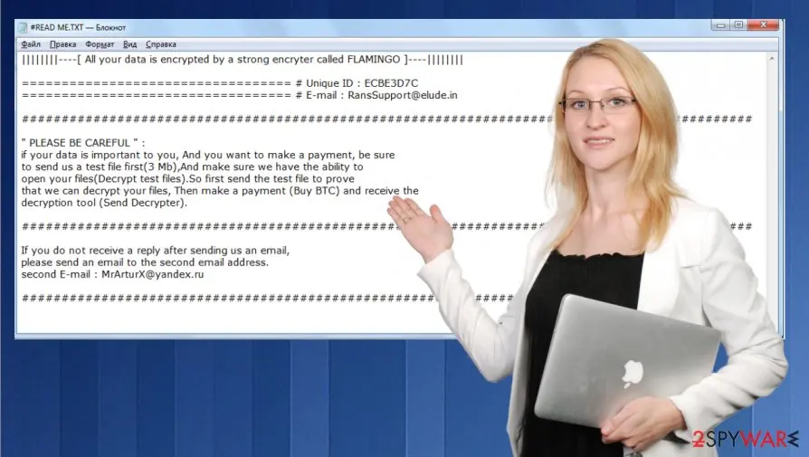 Screenshot of FLAMINGO ransomware: virus
