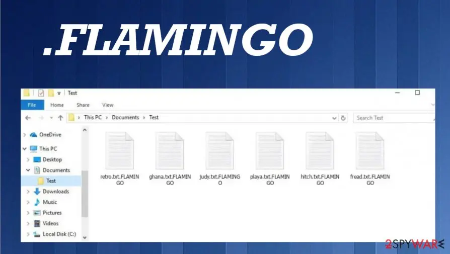 Screenshot of FLAMINGO ransomware: screenshot