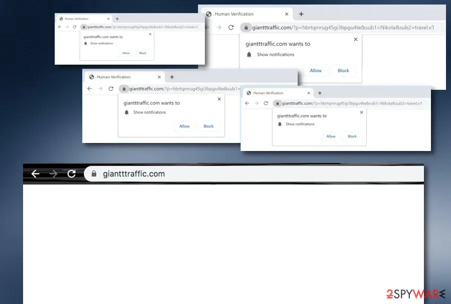 Giantttraffic.com: giantttraffic com pup