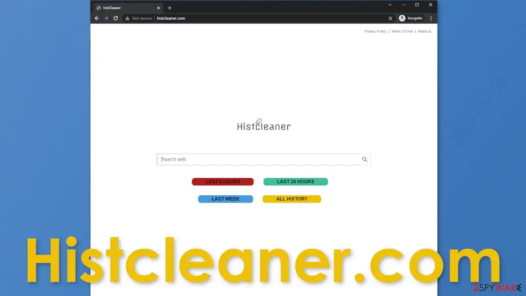 Screenshot of Histcleaner.com: histcleaner com