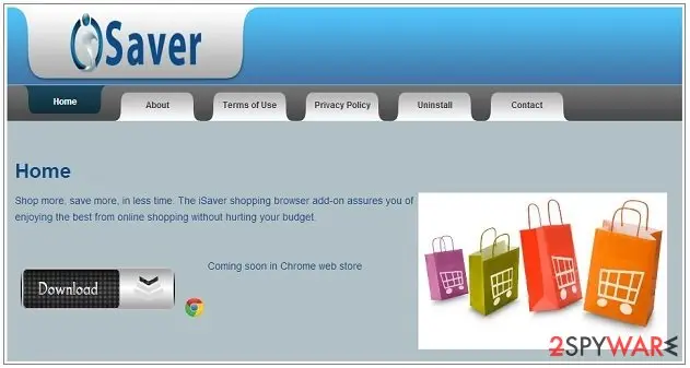 Screenshot of iSaver: virus