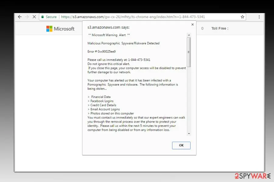 Malicious Pornographic Spyware/Riskware Detected: malicious pornographic spyware riskware detected virus example