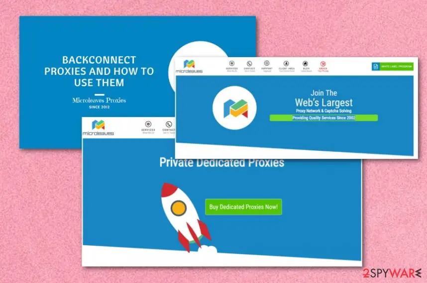 MicroLeaves virus: microleaves adware