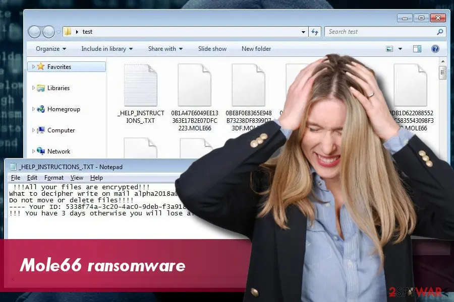 Screenshot of Mole66: ransomware
