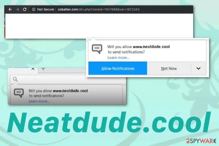Neatdude.cool: neatdude cool pop up ads