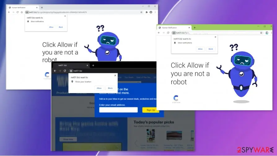 Net01.biz: net01 biz adware