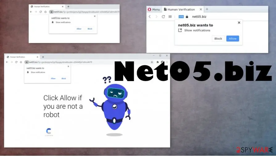 Net05.biz: net05 biz pup
