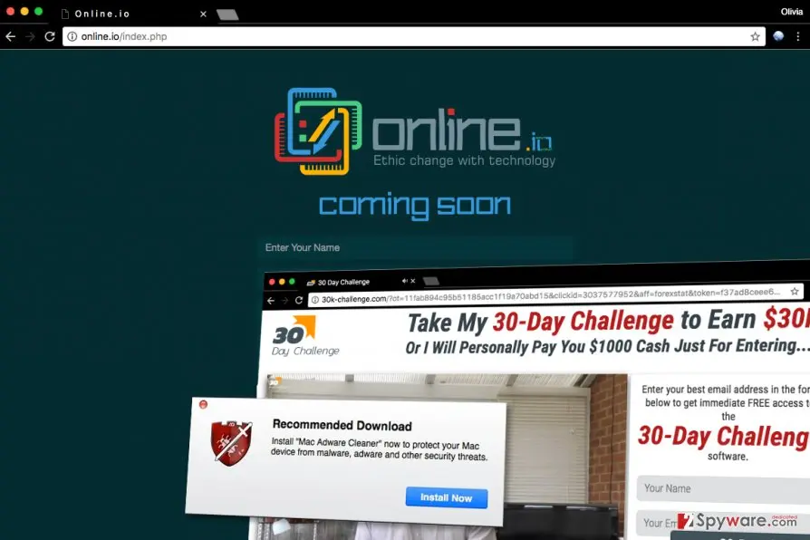 Online Application virus: screenshot