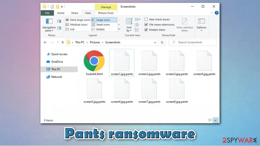 Pants ransomware: encrypted files