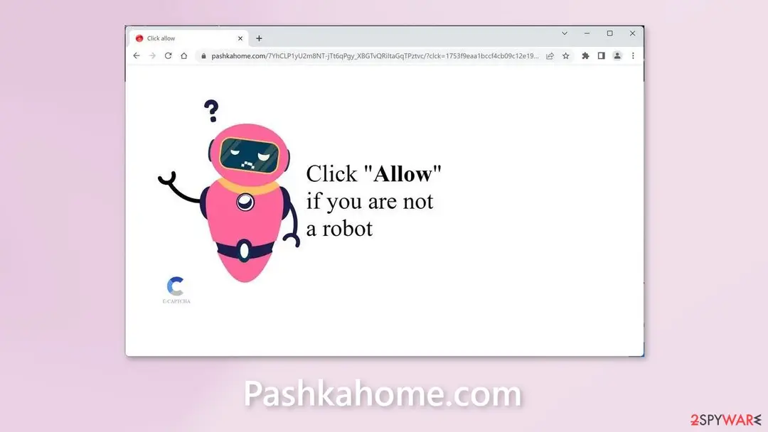 Screenshot of Pashkahome.com: pashkahome com