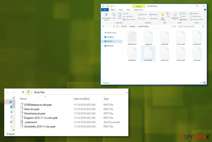 Screenshot of Peet ransomware: virus
