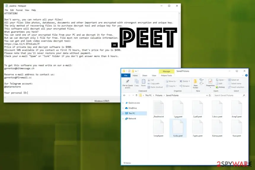 Screenshot of Peet ransomware: screenshot