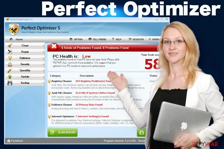 Perfect Optimizer: rogue system tool