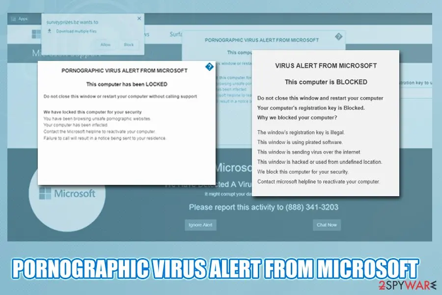 Pornographic virus alert from Microsoft: fake notification tech support scam