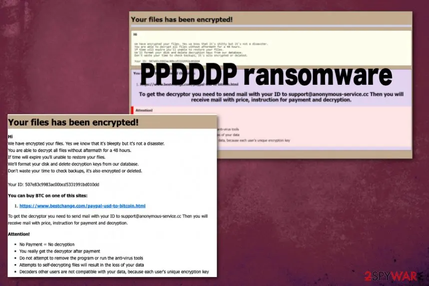 Screenshot of PPDDDP ransomware: virus