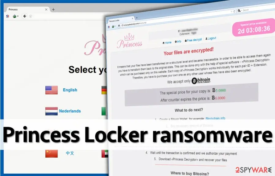 Princess Locker ransomware virus: princess locker virus