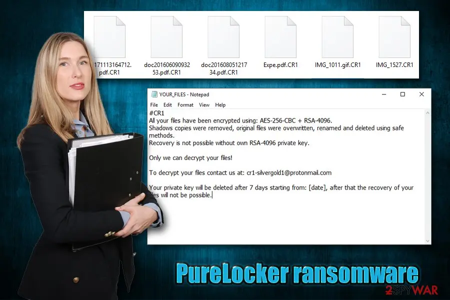 PureLocker ransomware: as a service evasive uses code of more eggs backdoor