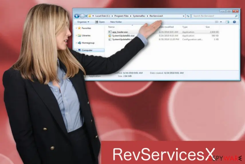 Screenshot of RevServicesX: virus
