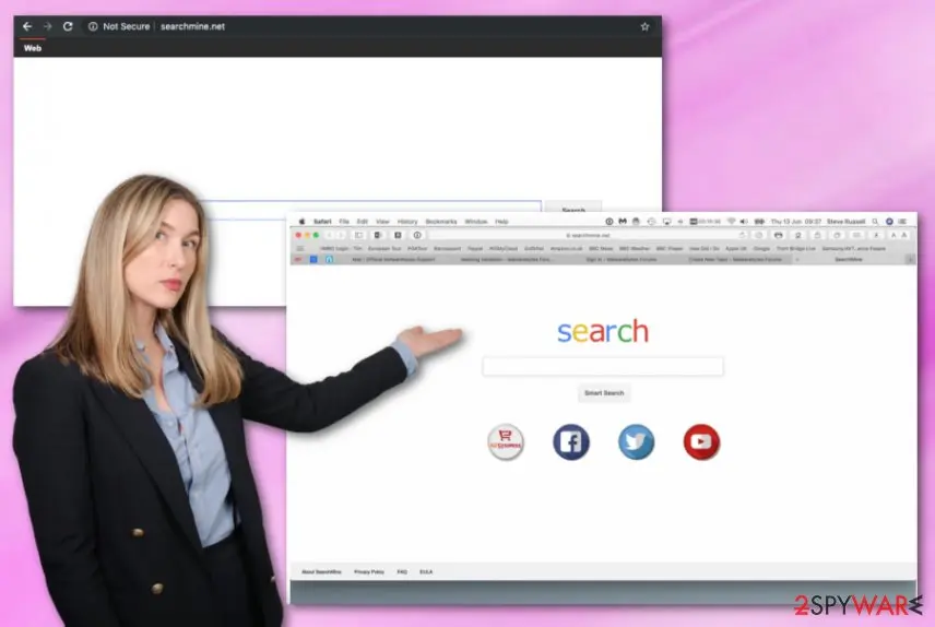 Screenshot of SearchMine: net virus