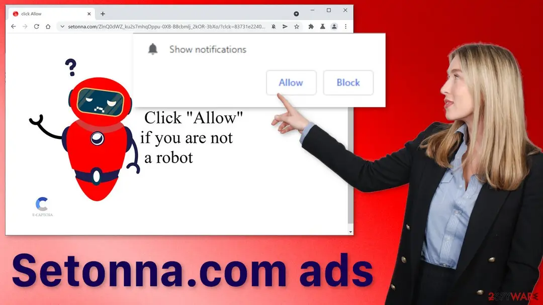 Setonna.com: setonna com ads