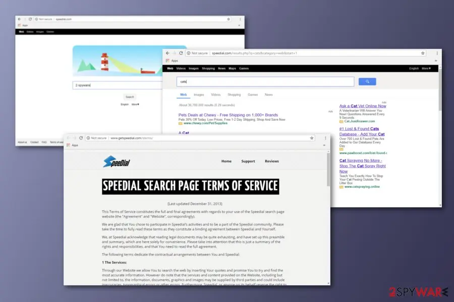 Speedial Search: speedial com pup