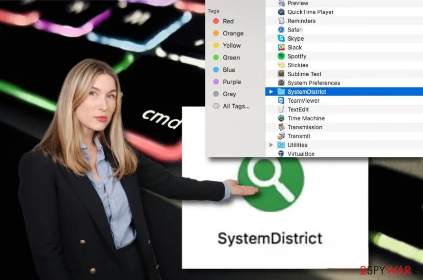 Screenshot of SystemDistrict: virus
