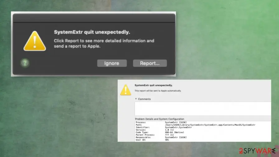 Screenshot of SystemExtr: process