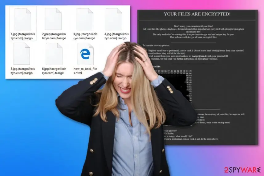 Screenshot of Taargo ransomware: virus