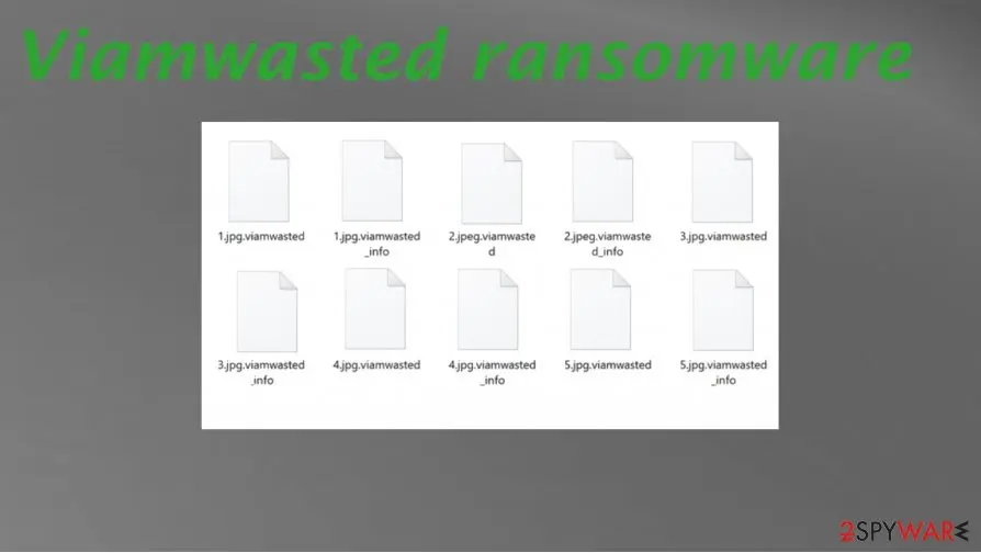 Screenshot of Viamwasted ransomware: virus