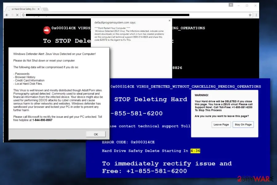 You Have A ZEUS Virus: tech support scam
